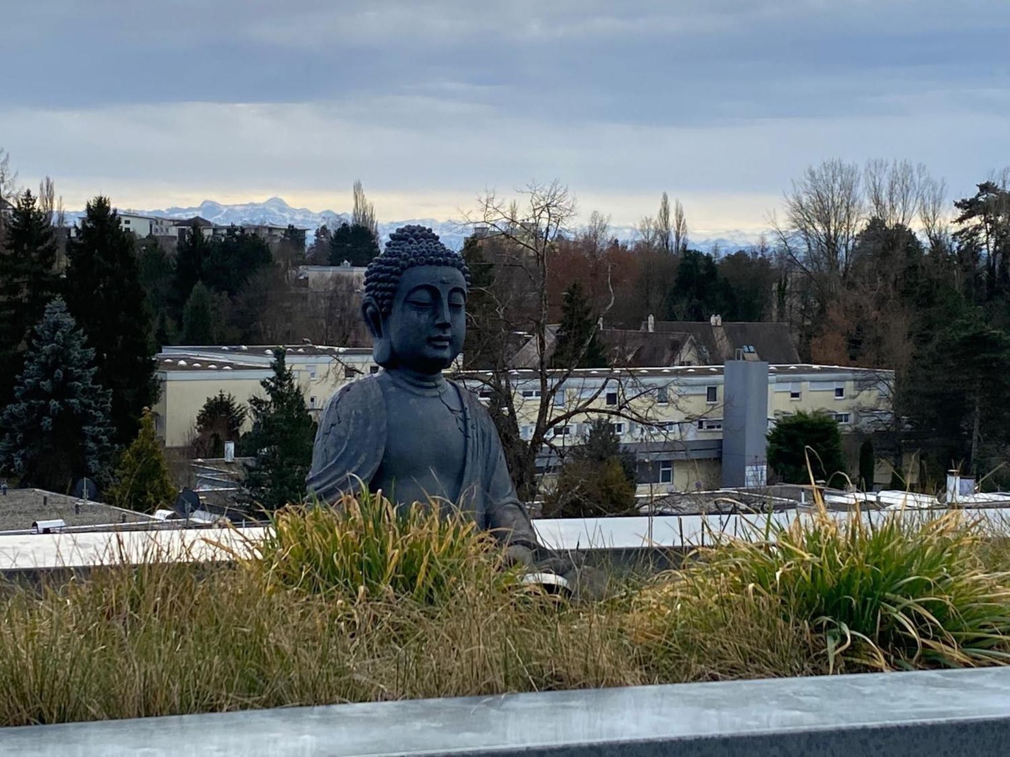 Penthouse - 3 Schlafzimmer- Sonnige Dachterrasse -Whirlpool & Alpenblick - Perfekt Fuer Romantik Oder Familienurlaub Mit Kind, Hund Willkommen - By Ferienwohnenamsee - Uberlingen Zewnętrze zdjęcie