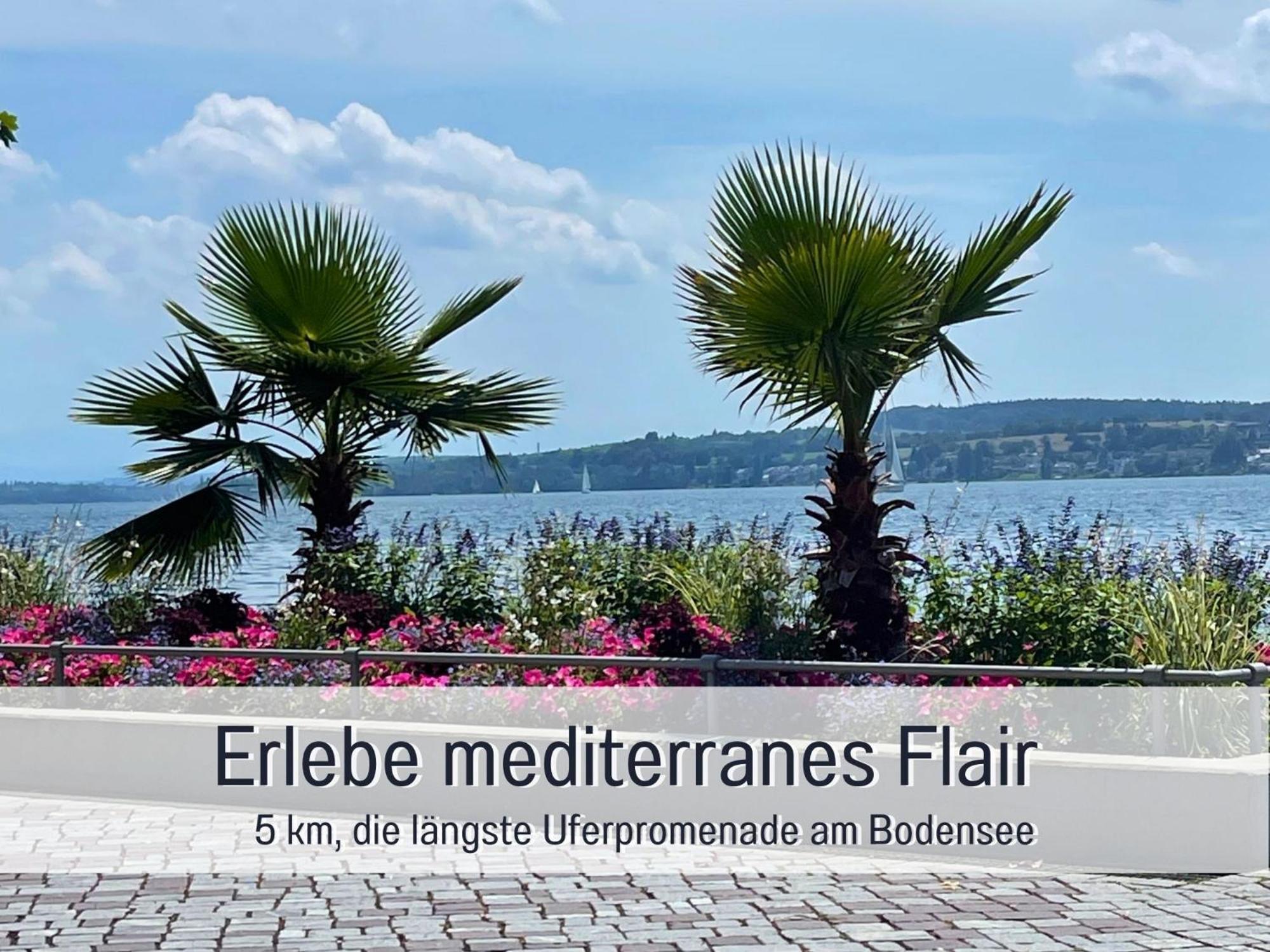 Penthouse - 3 Schlafzimmer- Sonnige Dachterrasse -Whirlpool & Alpenblick - Perfekt Fuer Romantik Oder Familienurlaub Mit Kind, Hund Willkommen - By Ferienwohnenamsee - Uberlingen Zewnętrze zdjęcie