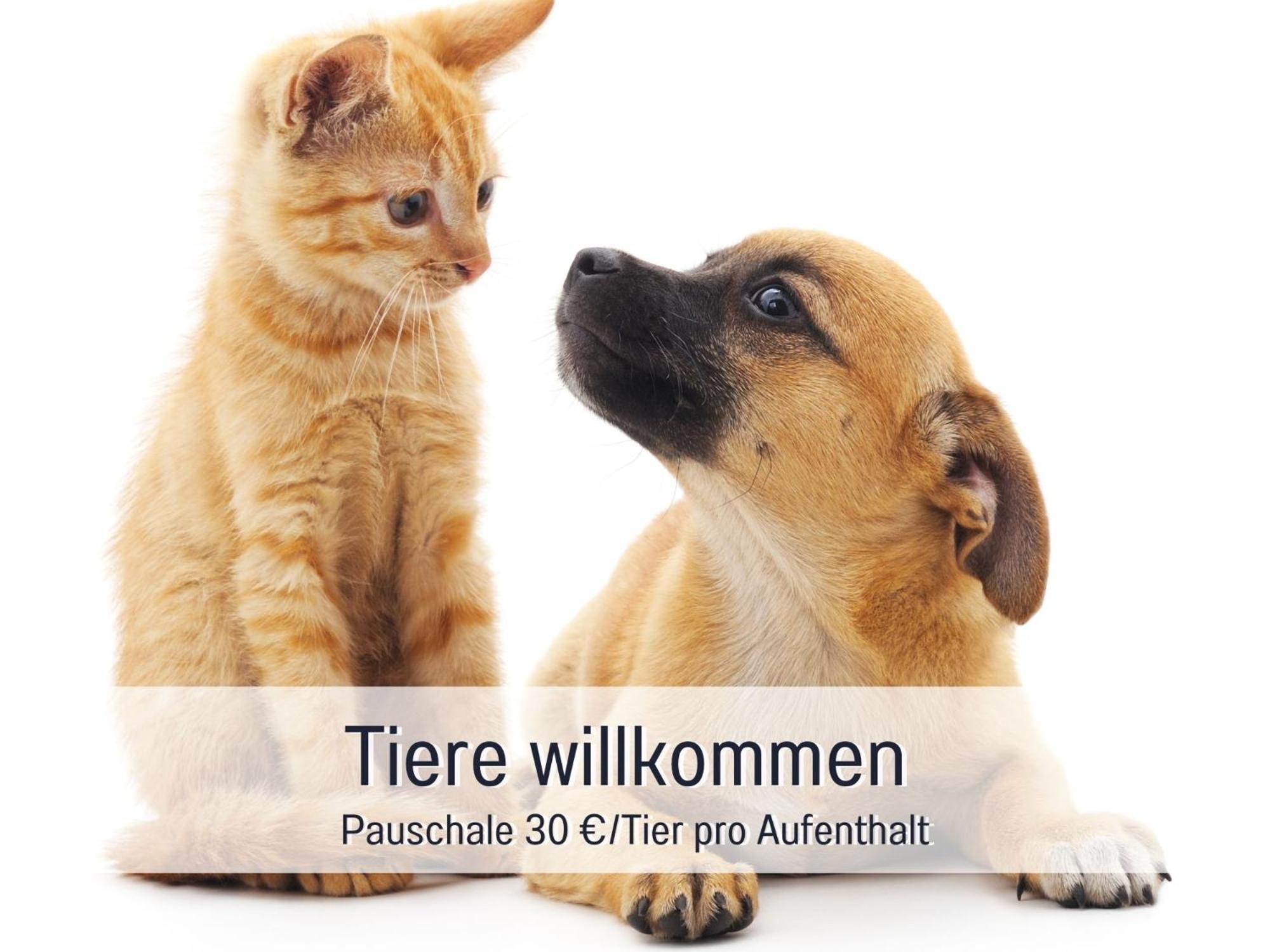 Penthouse - 3 Schlafzimmer- Sonnige Dachterrasse -Whirlpool & Alpenblick - Perfekt Fuer Romantik Oder Familienurlaub Mit Kind, Hund Willkommen - By Ferienwohnenamsee - Uberlingen Zewnętrze zdjęcie